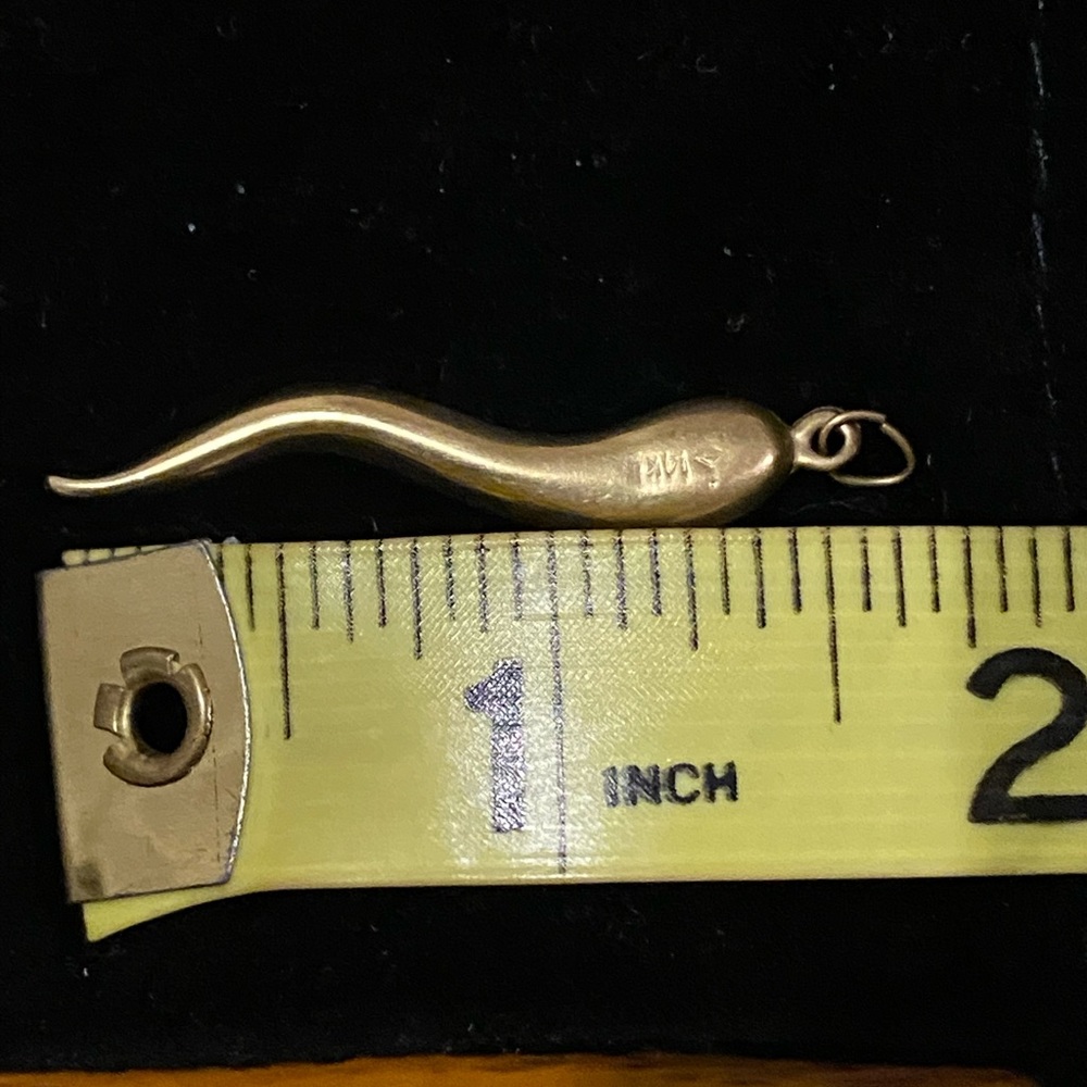 💛NWOT VTG 14K Solid Gold Italian Large Horn Pendant